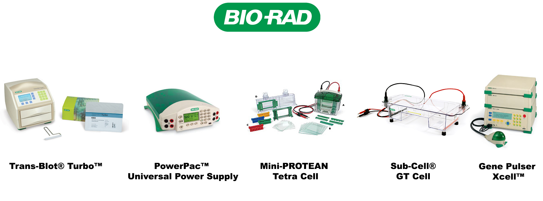 electroforesis, equipos y material para laboratorio